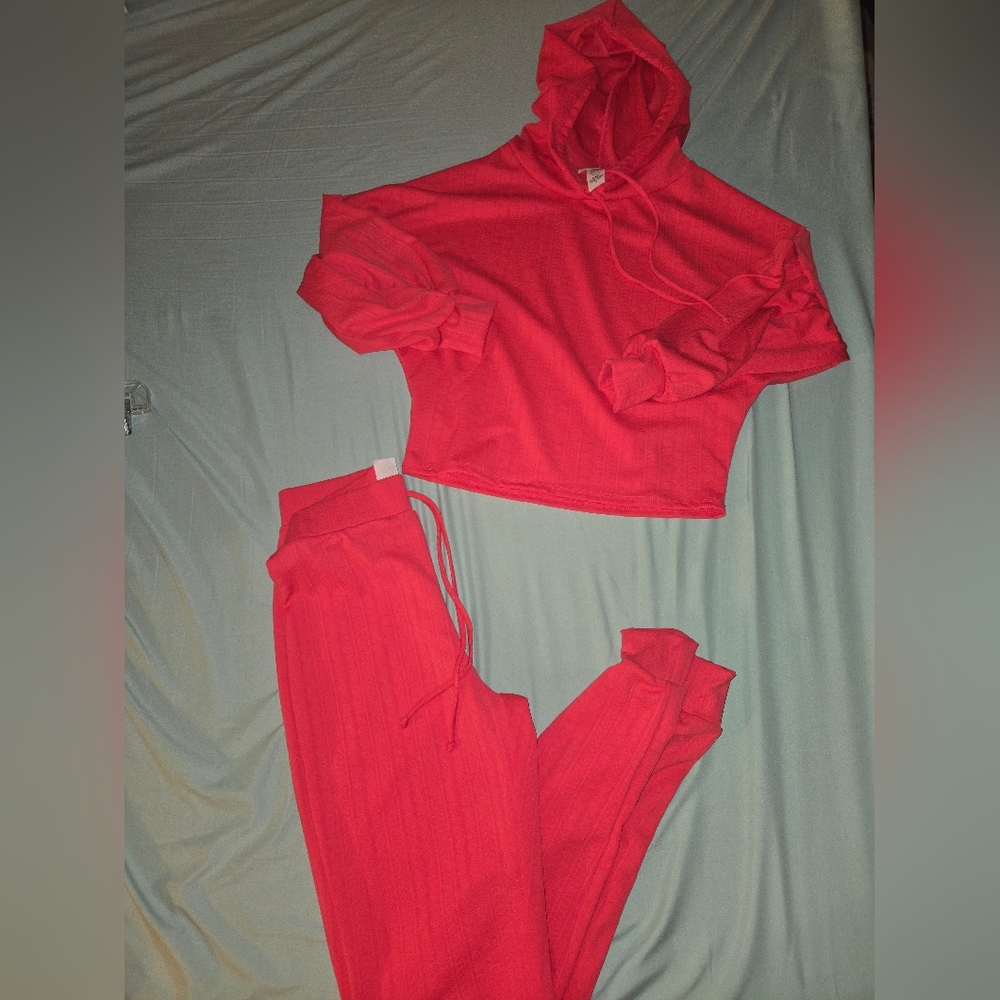 NWOT Cozy Pink Hoodie and Jogger Set.
